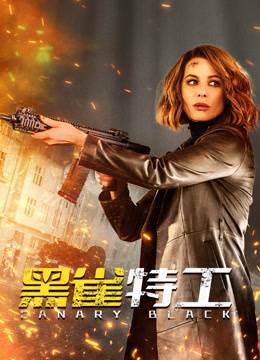 黑雀特工普通话版