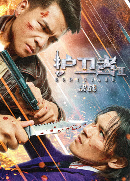 护卫者3决战