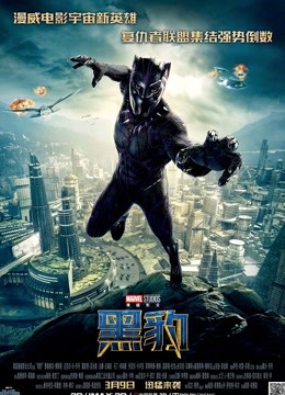 黑豹普通话版