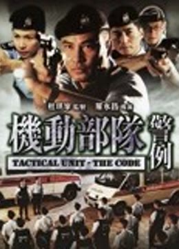 机动部队警例