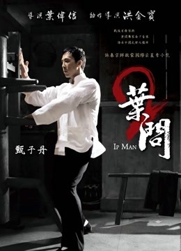 叶问2宗师传奇