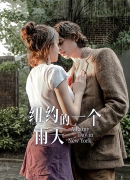 纽约的一个雨天普通话版