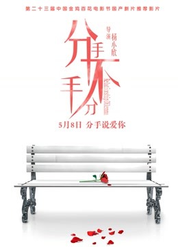 分手不分手