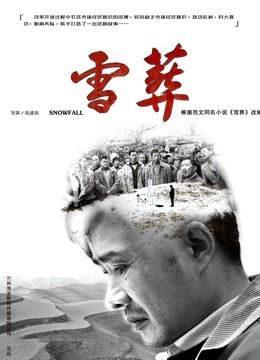 雪葬